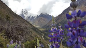 Trilha Inca Salkantay