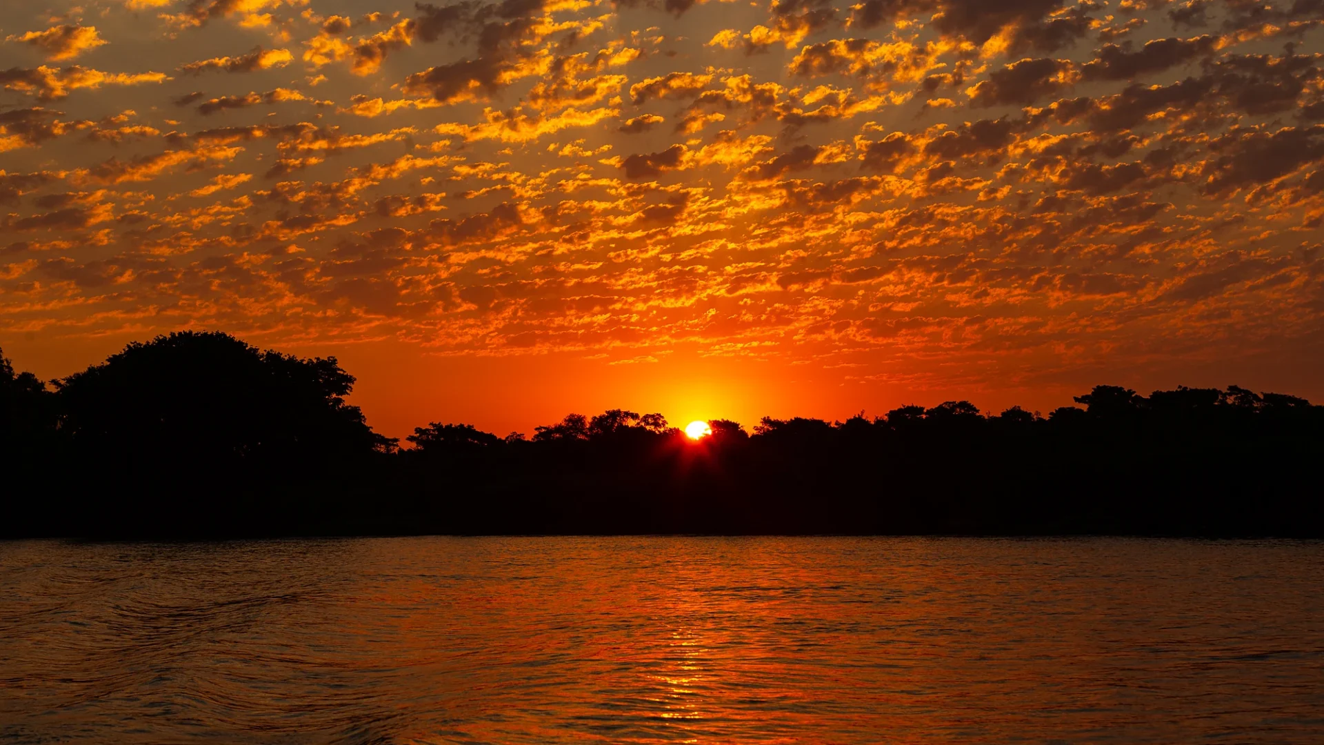 Bonito & Pantanal