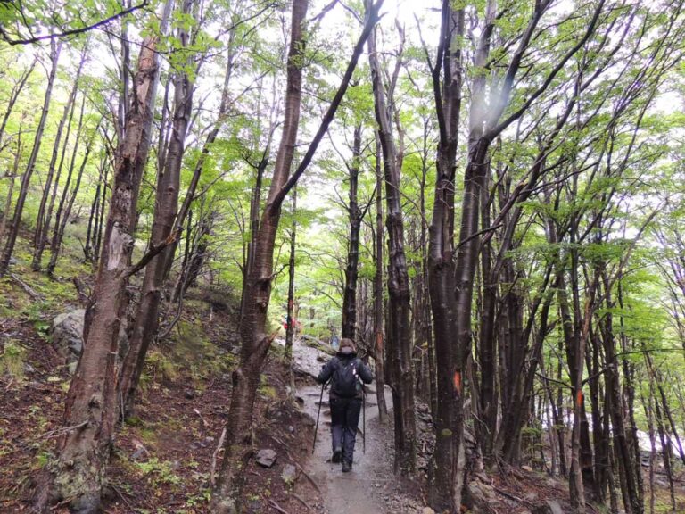 Parque Nacional Torres del Paine — Circuito W — foto 11
