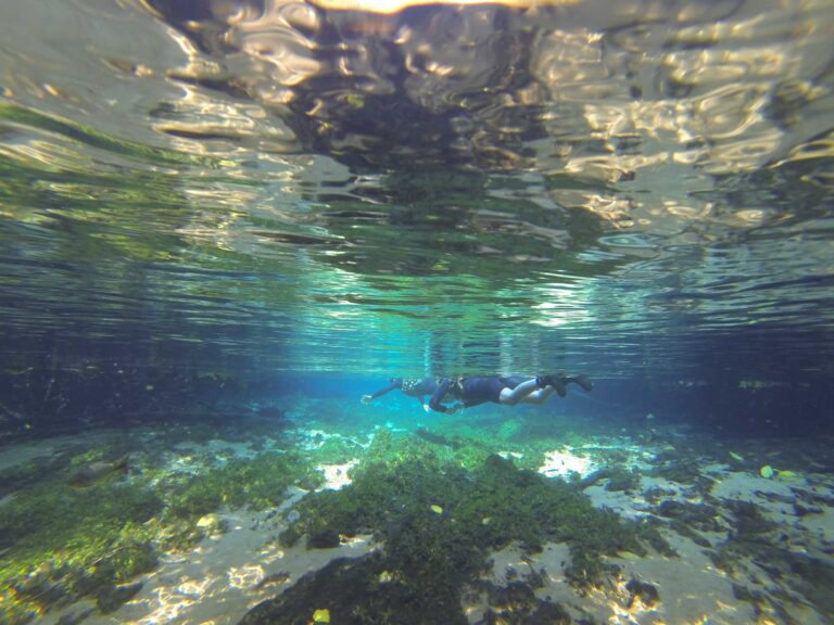 Bonito — foto 7