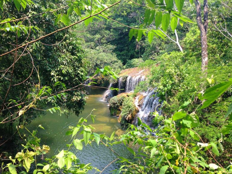 Bonito — foto 27
