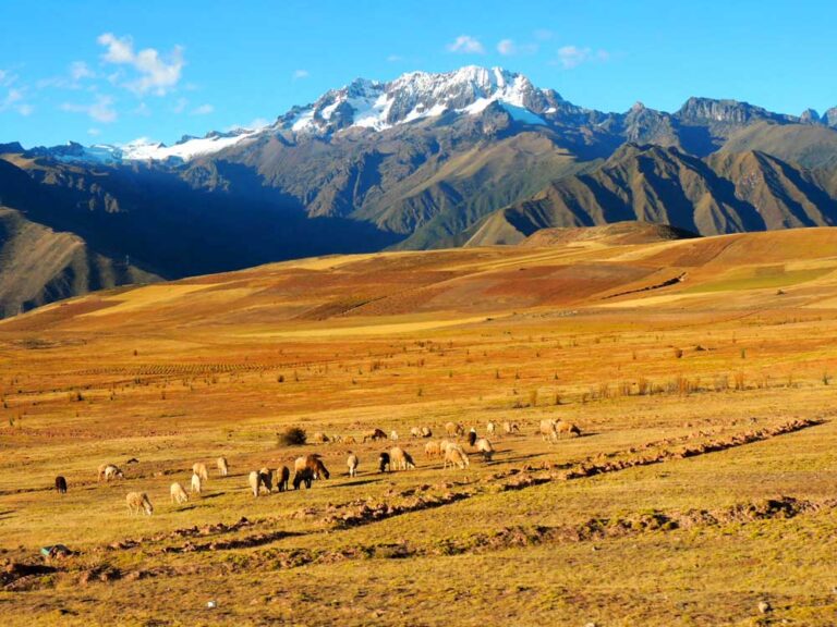 Peru — foto 3