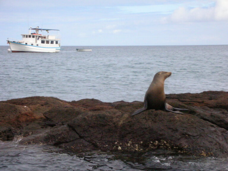 Galápagos, Equador — foto 7