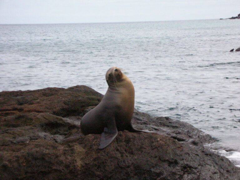 Galápagos, Equador — foto 9
