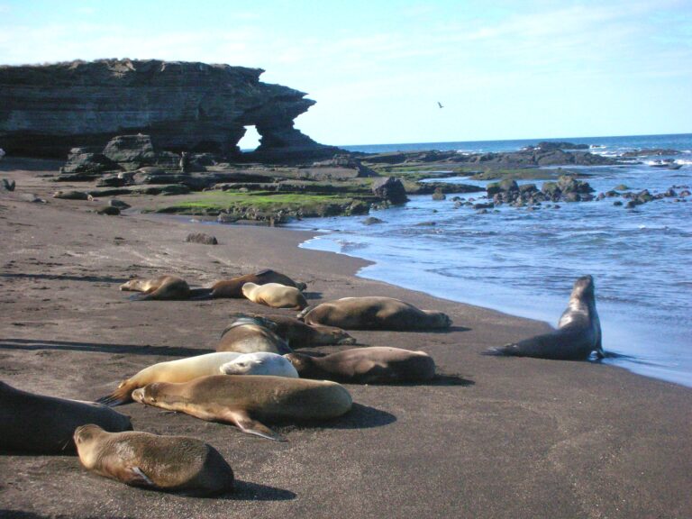 Galápagos, Equador — foto 14