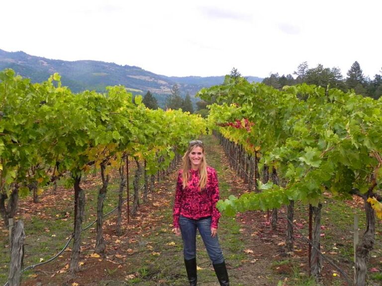 California — Yosemite, SF e Napa Valley — foto 24