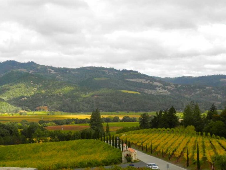 California — Yosemite, SF e Napa Valley — foto 26