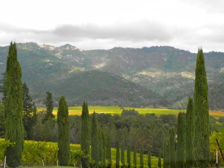 California — Yosemite, SF e Napa Valley — foto 27
