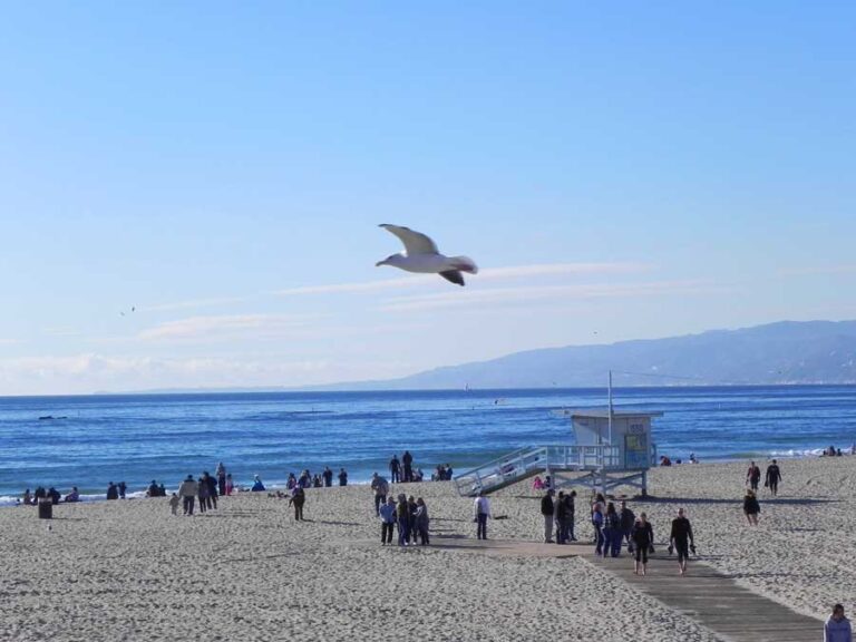California — foto 16