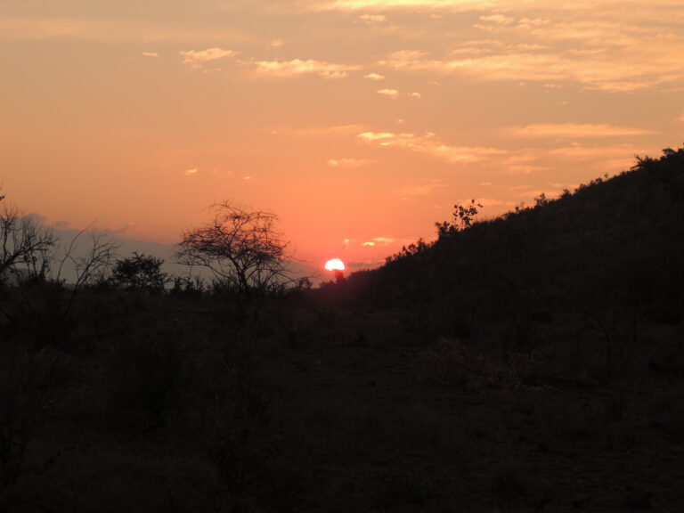 África do Sul — foto 9