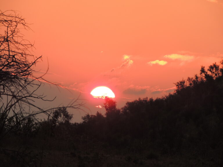 África do Sul — foto 10