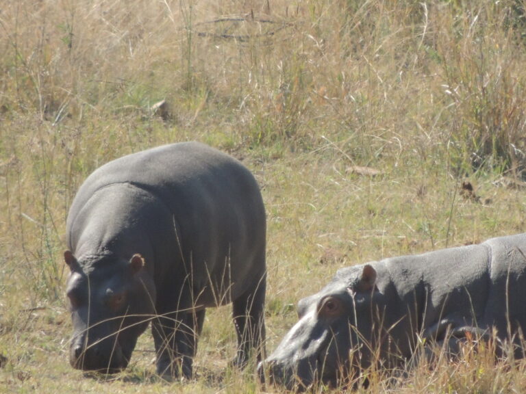 África do Sul — foto 18