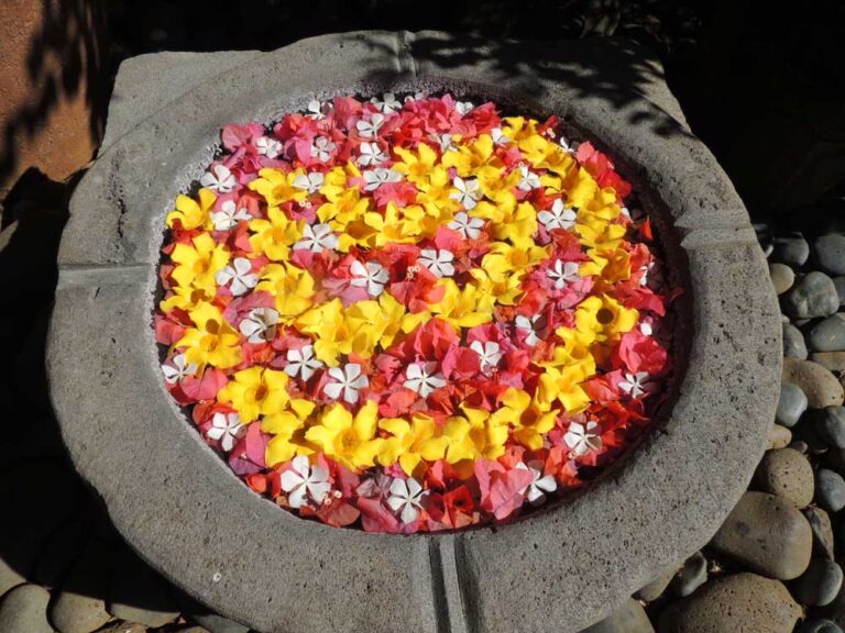 Ilhas Mauritius — foto 23
