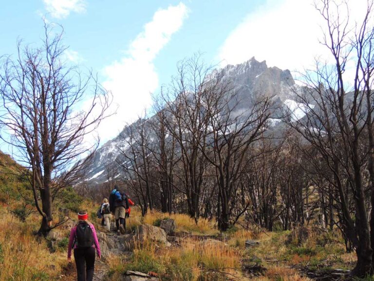 Parque Nacional Torres del Paine — Circuito W — foto 7
