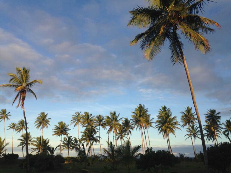 Península de Maraú — Terraços Marinhos — foto 1