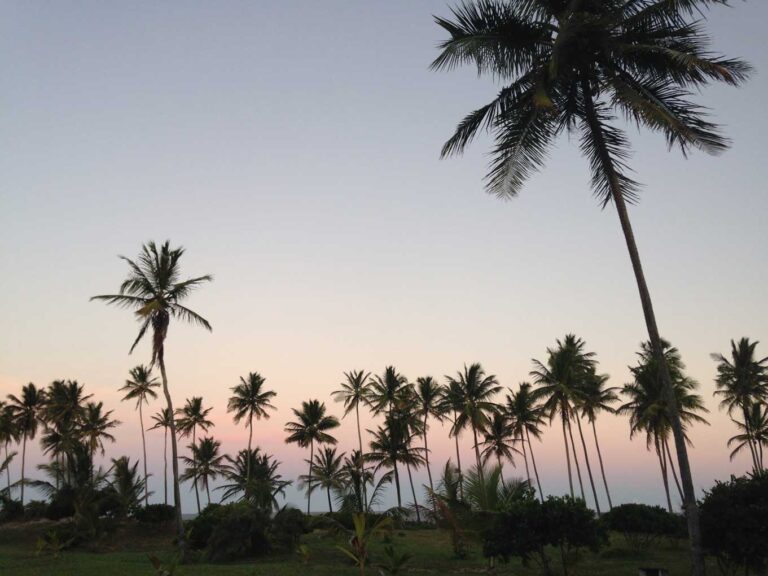 Península de Maraú — Terraços Marinhos — foto 11
