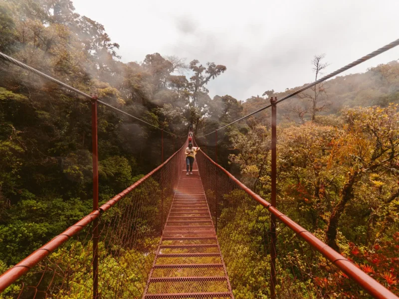 Naturalmente Costa Rica